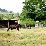 Farm stay Irelli Castellalto