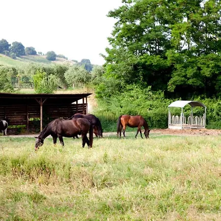 Κατάλυμα σε φάρμα Irelli Castellalto