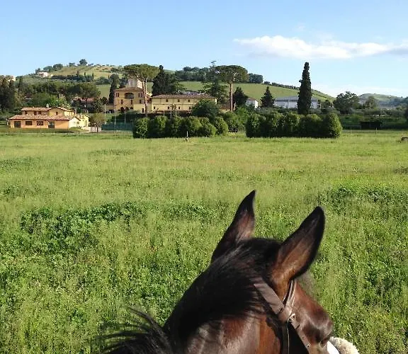 Фермерский дом Agriturismo Irelli *