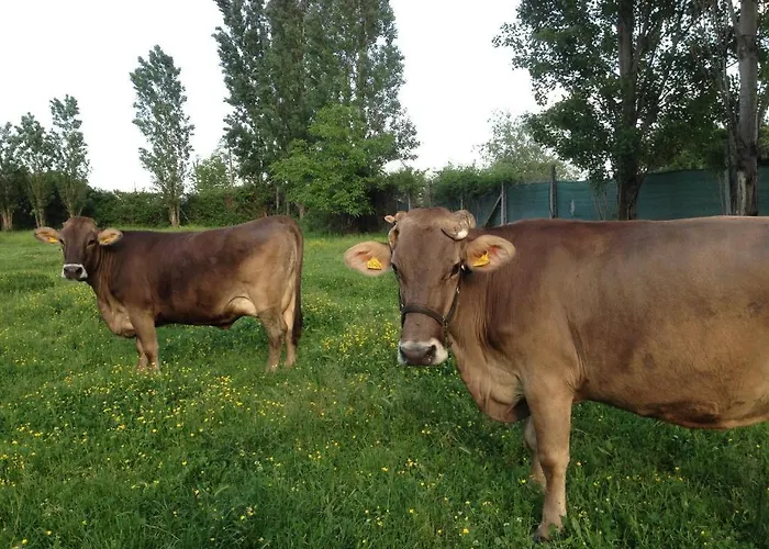 Agriturismo Irelli *