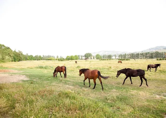 Agriturismo Irelli Фермерский дом Castellalto