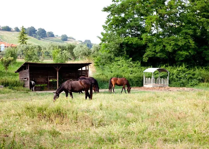 Фермерский дом Agriturismo Irelli Castellalto